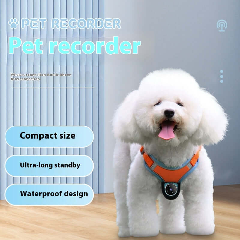 Pets Recorder Pet Tracker Collar Dogs and Cats Viewing Angle Motion Recording Camera Action Camera with Video Records Cat Collars Camera Sport Pet Products