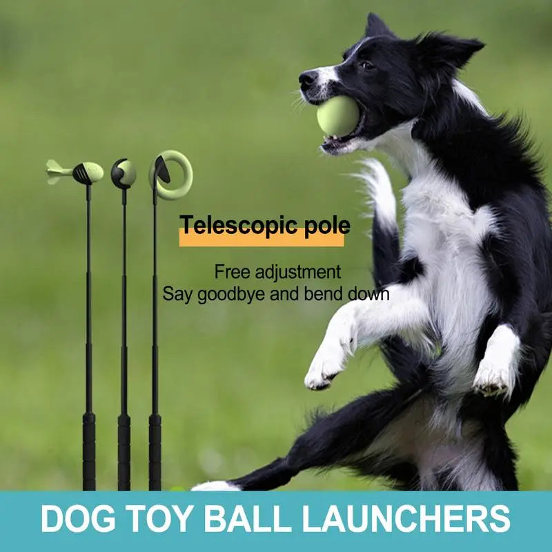 Dog Toys Throwing Pole Pet Throwing Stick Hand Throwing Ball Toys Pet Tennis Launcher Pole Outdoor Training Toys Pet Supplies